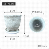 MM016-175
