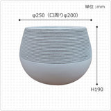 MM049-250
