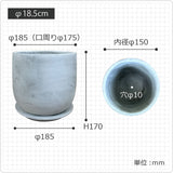 MM059-185
