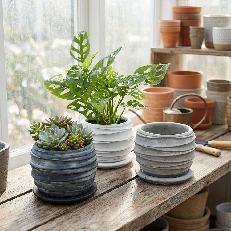 おしゃれな植木鉢をお探しなら！ ガーデニングの専門店 - 鉢人