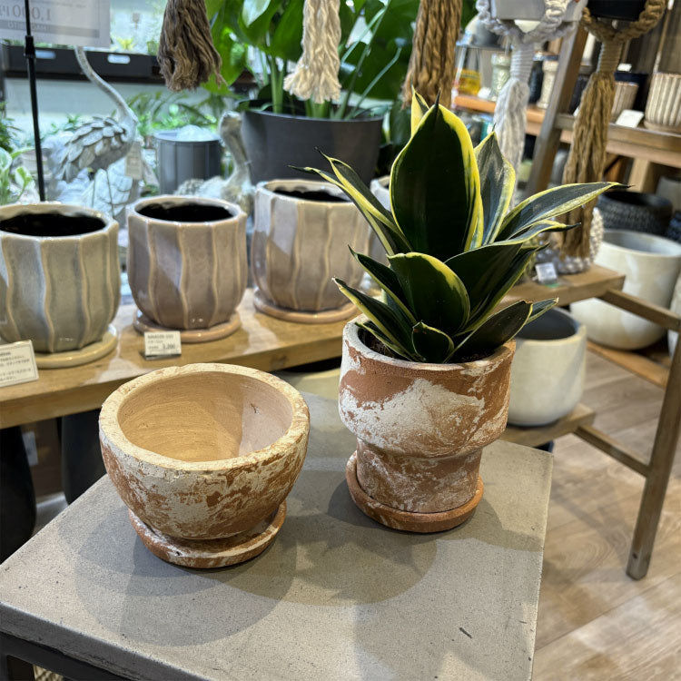 RR245-180 – 鉢人