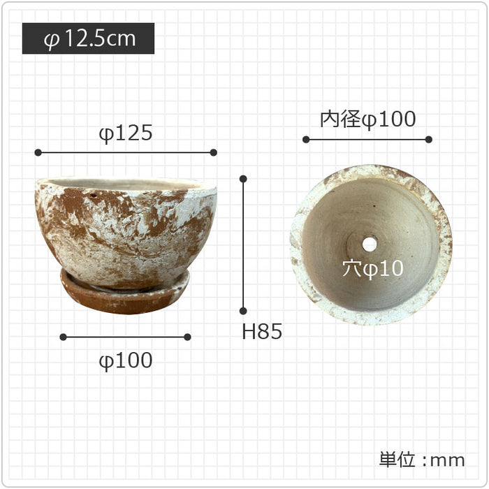 RR245-125 – 鉢人