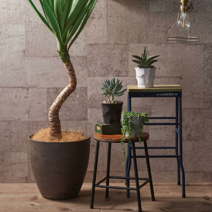 UN006-220 – 鉢人