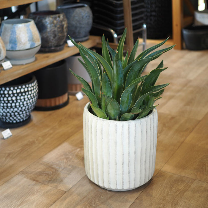 N*e様 人工観葉植物 鉢付き キシマ（KISHIMA） 観葉植物 フェイク 大型 フェイクグリーン 組み立て