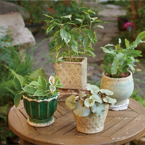 おしゃれな植木鉢をお探しなら! ガーデニングの専門店 - 鉢人 おしゃれな植木鉢をお探しなら! ガーデニングの専門店 - 鉢人