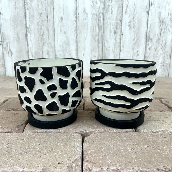 鉢　特殊なオリジナル鉢 UN443-110 – 鉢人