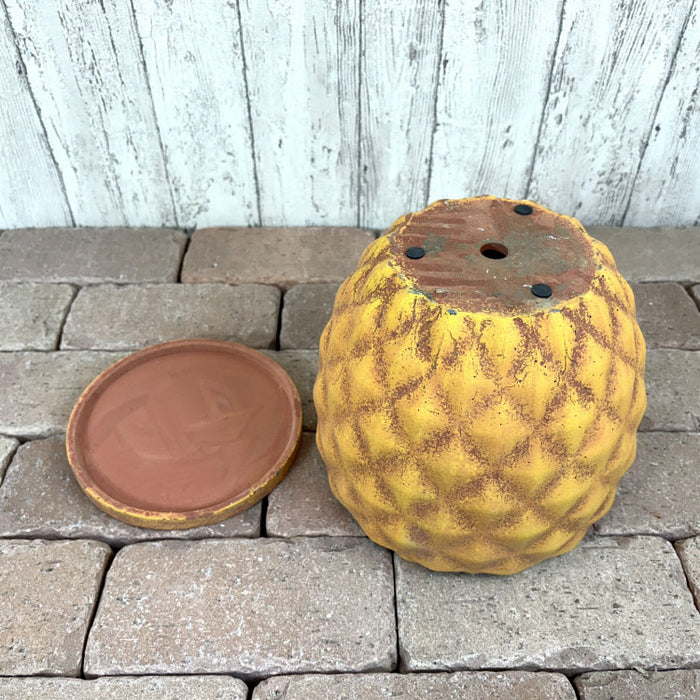 un466_33_700x.jpg?v=1745204260