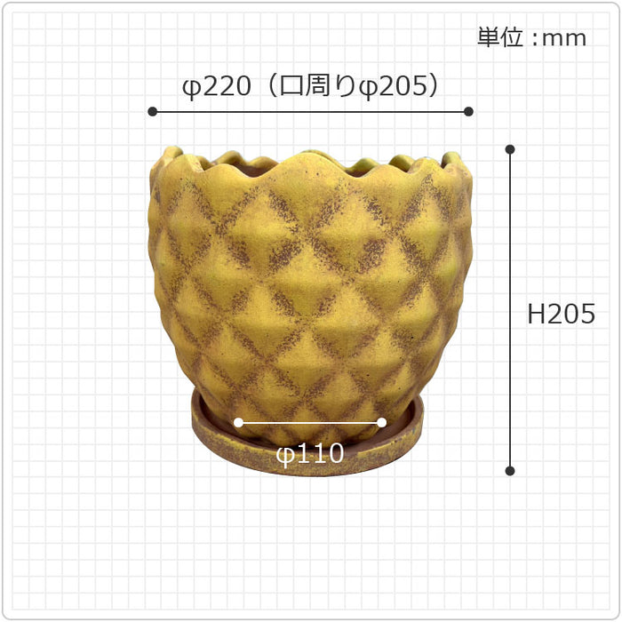 鉢　特殊なオリジナル鉢 UN466-220 – 鉢人