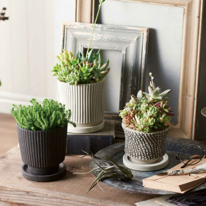 UN477-180 – 鉢人