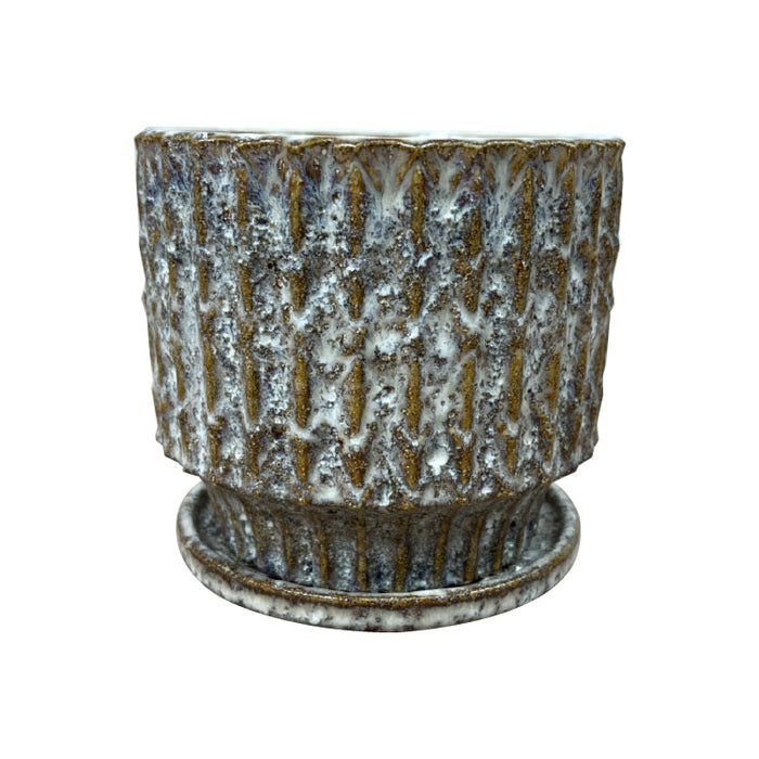 ユッカ ロストラータ 6号 – 鉢人