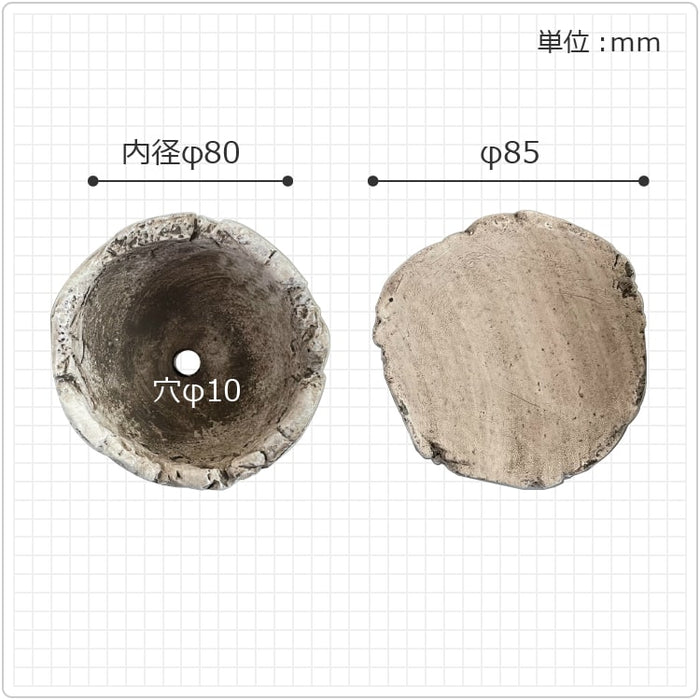 CC353-100-LB – 鉢人