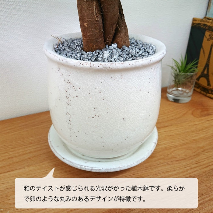 可愛い鹿柄 鉢 サイズ感が良い 箱無し pg-13641.jpg