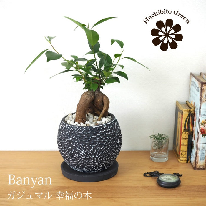 ガジュマル27 ガジュマル 110cm｜GLP-1574 アーティフィシャルグリーン 人工