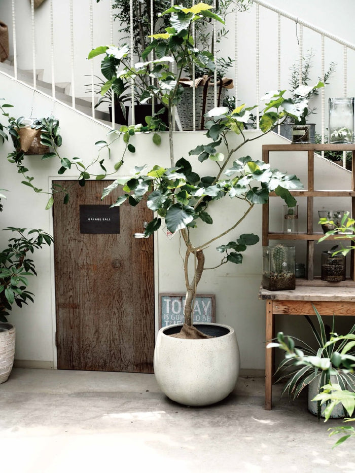 gp007_00_700x.jpg?v=1744361344