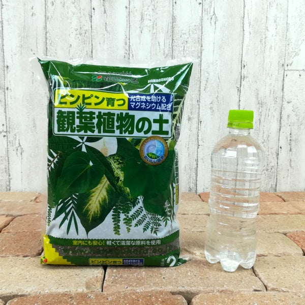 観葉植物の土 – 鉢人