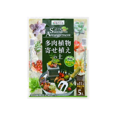 多肉植物寄せ植えの土 – 鉢人