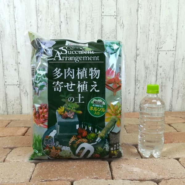 多肉植物寄せ植えの土 – 鉢人