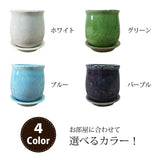 ソフォラ リトルベイビー 4色から選べる釉薬鉢