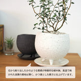 ソフォラ リトルベイビー 2色から選べる陶器鉢
