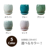 ソフォラ リトルベイビー 5色から選べる陶器鉢
