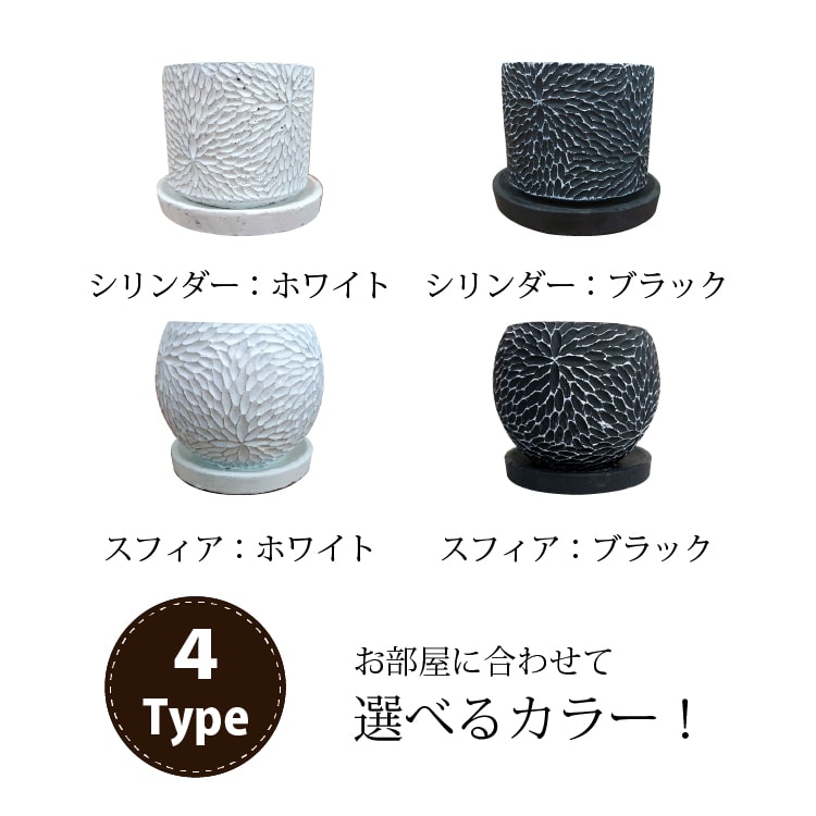 ソフォラ リトルベイビー 4種類から選べる陶器鉢 受け皿付き 4号(11cm)