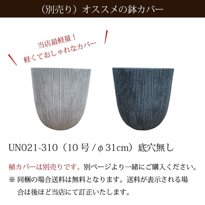 エバーフレッシュ 7号 – 鉢人