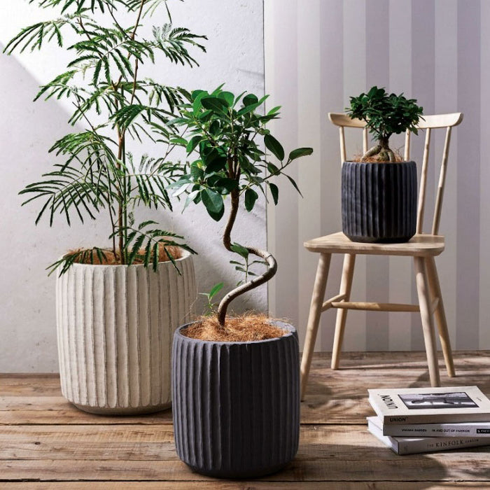 un256_00_468bb770-c679-4127-